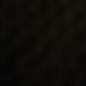 Meet your Posher, Ruthie